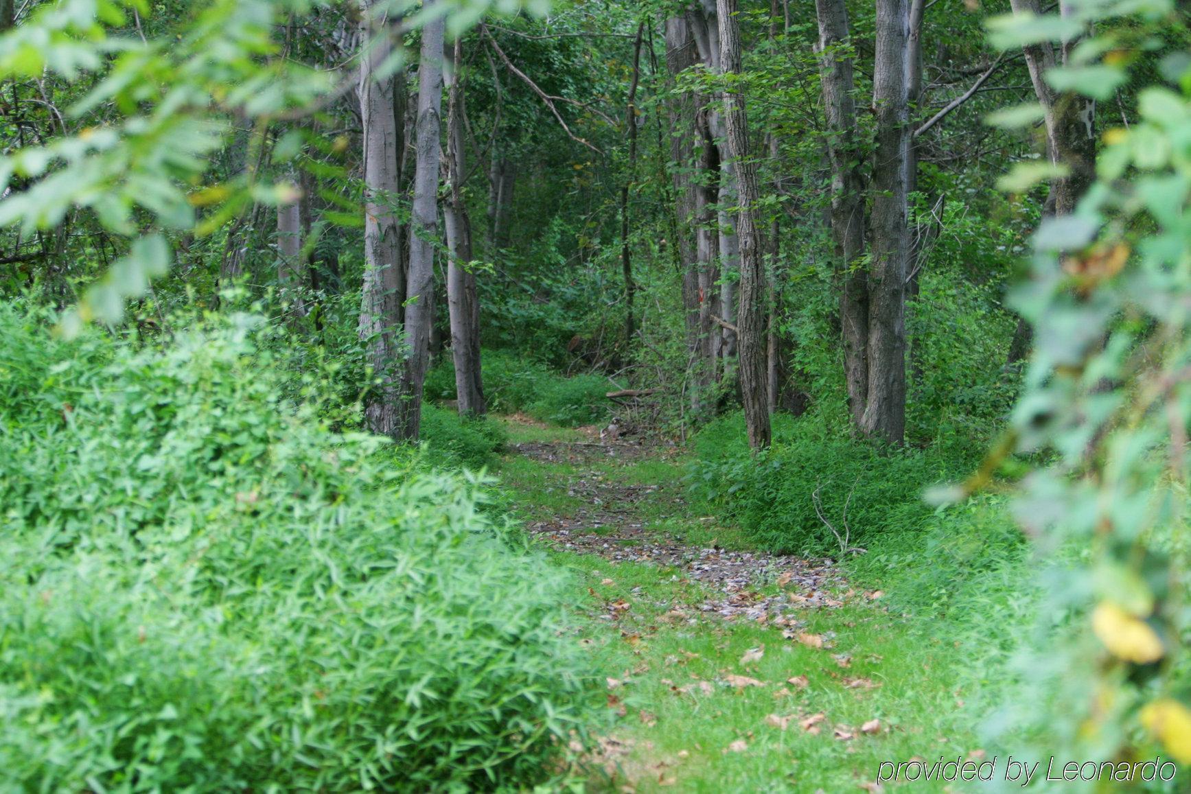 Elk Forge Bed And Breakfast Elkton Bagian luar foto